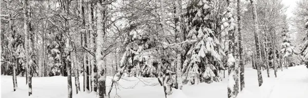 L'aventure Nordique : 5% de remise 
